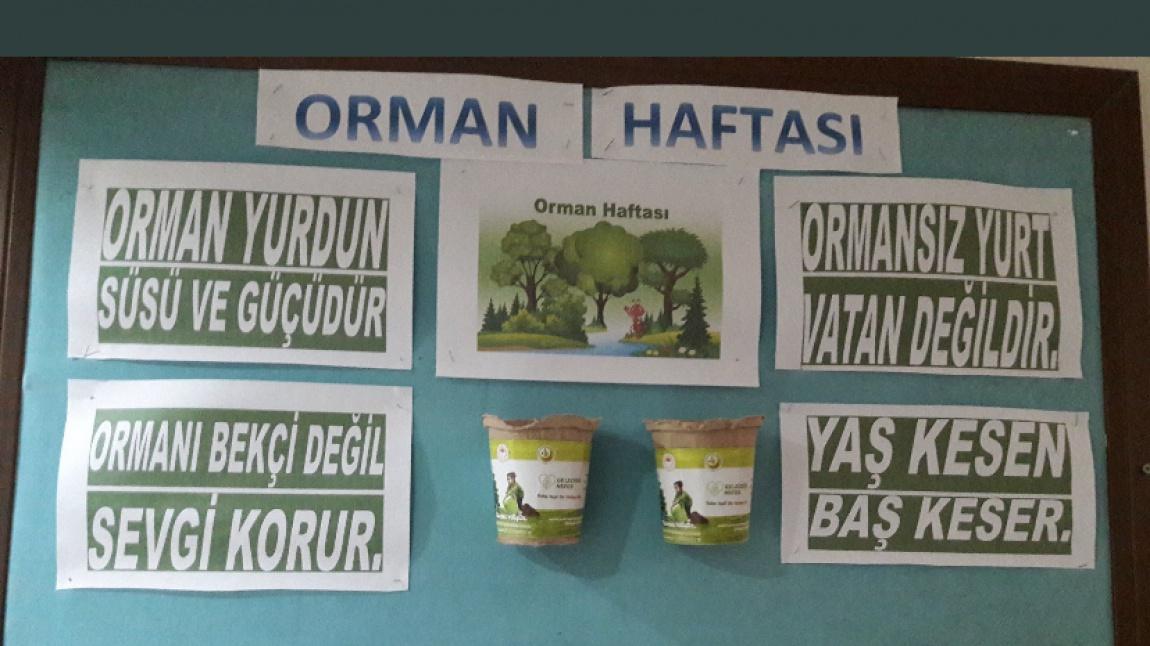 21-26 MART ORMAN HAFTASI İÇİN HAZIRLADIĞIMIZ PANOMUZ